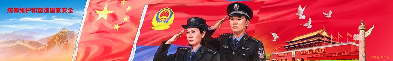 11.统筹维护和塑造国家安全.jpg